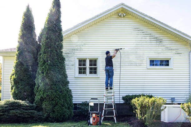 Best Solar Panel Cleaning  in Alvarado, TX